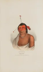 PE-A-JICK; En Chippewa-hövding, från The Aboriginal Portfolio