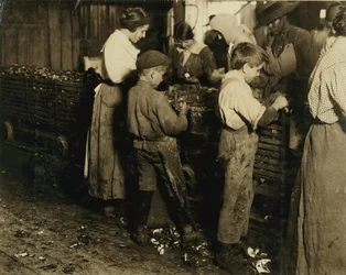 10-åriga Jimmie som har shuckat 3 år (6 krukor om dagen) med en 11-årig pojke som shuckar 7 krukor på Varn und Platt Canning Co., Bluffton, South Carolina, 1913