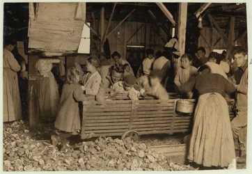 Bill May, 5 år gammal som tjänar 15 cent om dagen, i skuren på Barataria Canning Company, Biloxi, Mississippi, 1911