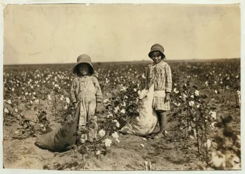 Jewel och Harold Walker, 6 och 5 år gamla, plockar 20 till 25 pund bomull om dagen i Geronimo, Comanche County Oklahoma, 1916