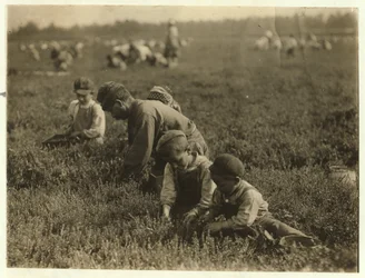 Jo Arnao 3, plockade tranbär med sin bror 6 och syster 9 i Whites Bog, Browns Mills, New Jersey, 1910