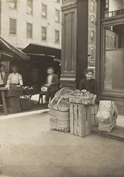 Lena Lochiavo, 11 år gammal, korg- och kringlasäljare, på Sixth Street-marknaden framför salongens ingång, Cincinnati, Ohio, augusti 1908 (silvertryck av gelatin)