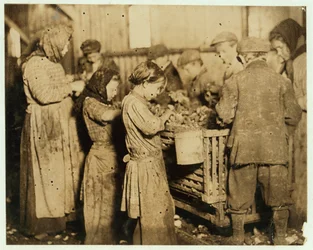 Shuckers i åldern cirka 10 öppnar ostron i Barn und Platt Canning Company, Yonges Island, South Carolina, 1913