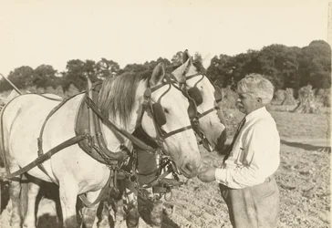 Utan titel, ca. 1935.