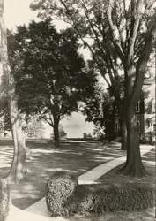 Utan titel, ca. 1935.