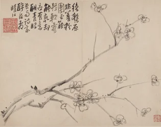 Album av Blossoming Plum, 1742.