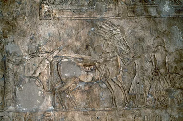 Basrelief med vagn, Necropolis of Tell el-Amarna, Egypten, egyptisk civilisation, Nya kungariket, dynasti XVIII