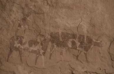 Boskap och mänskliga figurer, Grottmålning, Oued i Djeran, Nära Djanet, Tassili n