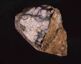 Meteorit hittades i Indien 1875 - Museum d