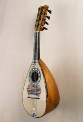 Napolitansk mandolin, musikinstrument byggt i instrumentmakaren Pasquale Scalas verkstad i Praiano, Kampanien. Italien, 1900-talet
