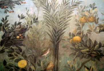 Granatäppelträd, detalj från en fresk som skildrar en trädgård med fruktträd och fåglar, från Livias hus på Palatinen, Rom, Italien. Romersk civilisation
