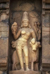 Relief Deficient Parvathi, Brihadeeswara Temple, Gangaikonda Cholapuram, Tamil Nadu, Indien