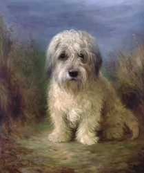 Dandie Dinmont Terrier (olja på duk)