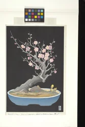 Japansk dvärgplommon (trätryck i färg)