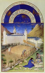 Faksimil av juli: skörd och fårklippning, ur "Très Riches Heures du Duc de Berry"