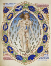 Hertigen av Berrys Très Riches Heures: Anatomisk man