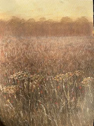 Bean Field Skymning