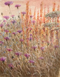 Scabious & Docks