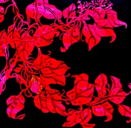 Red for William;s sister, 2017 (blandteknik)
