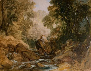Mountain Stream and Rocks, [1800-talet].