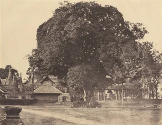 Rangoon: Stora klockan i Shwe Dagon-pagoden,november 1855 (foto)