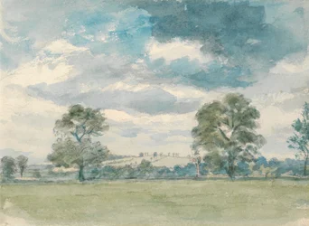 Sommarlandskap