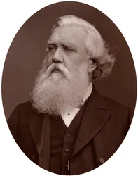 Höger Hon Austen Henry Layard DCL, brittisk ambassadör i Konstantinopel, 1877.