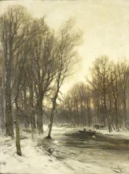 En eftermiddags vy över snöiga skogar