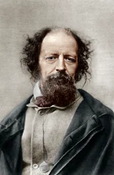 Alfred, Lord Tennyson, poetpristagare i Storbritannien, c1867.