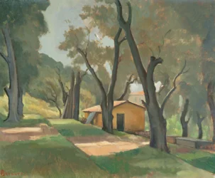 Terrasserad trädgård, Mentone