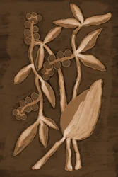 Ekologiska Sepia Botanicals