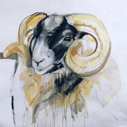 Long Horn Sheep (blandade medier)