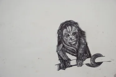Monkey Business, 2016, (bic biro på papper)