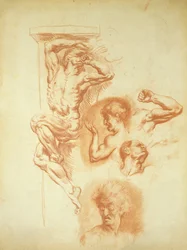 Head of a Man (sanguine krita på papper)