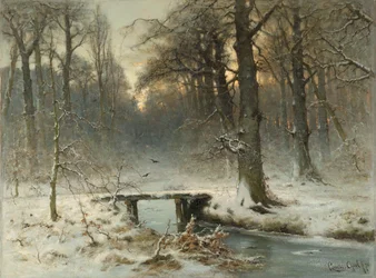 En januarikväll i skogen i Haag