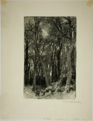 Vinter: Bas-Bréau
