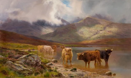 Highland Cattle (olja på duk)