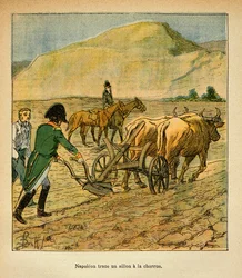 Illustration av Bombled Louis (1862-1927) från boken "The Memorial of Saint Helene" av greve Emmanuel de Las Cases (1766-1842): På St. Helene spårar kejsar Napoleon en fåra till plogen, privatsamling