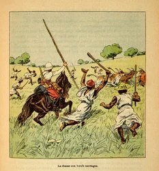 The War in Madagascar-Anecdotal History of the French Expeditions of 1885-1895 av Henri Galli dit Galllichet (1854-1922), illustrerad av Louis Bombled (1862-1927): Jakten på vildoxar i Madagaskar 1895, Privat samling