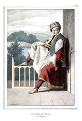 En sida av Veli, pasha deThessalie. i "" Resan till Aten och Konstantinopel, eller samling av grekiska och osmanska porträtt, vyer och kostymer, målade på platser i naturen, litografier och färger av Louis Dupre (1789-1837), Davids elev.1825.