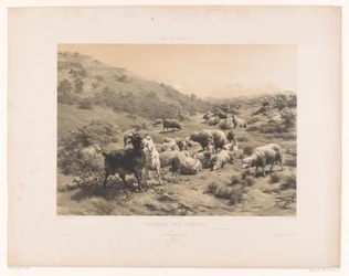 Herdinna med getter och får i Pyrenéerna Bruyeres des Pyrenees (titel på objekt) Betesmarker (serietitel) Les paturages (serietitel på objekt)