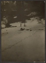 [Barn åker pulka nerför kulle]