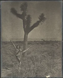[Dansare vid Joshua Tree]