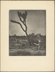 [Dansare vid Joshua Tree]