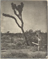 [Dansare vid Joshua Tree]