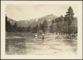 [Figurer i bergslandskap]