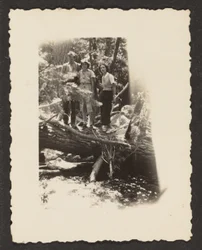 [Figurer i skogen]