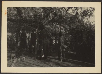 [Figurer i skogen]