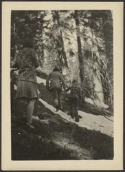 [Figurer i skogen]