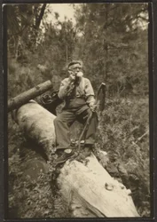 [Fleckenstein på en stock]